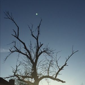 Meet your Posher, Joanne